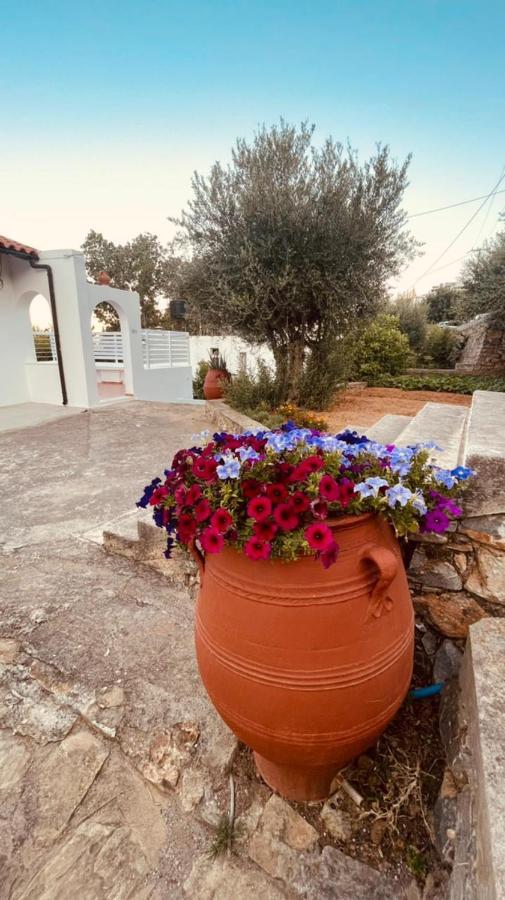 Havania Studio Agios Nikolaos  Bagian luar foto